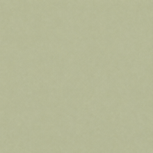 Samtvörhang Pastel green